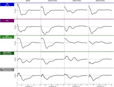 In Vivo Behavior of the Antibacterial Peptide Cyclo[RRRWFW], Explored Using a 3-Hydroxychromone-Derived Fluorescent Amino Acid